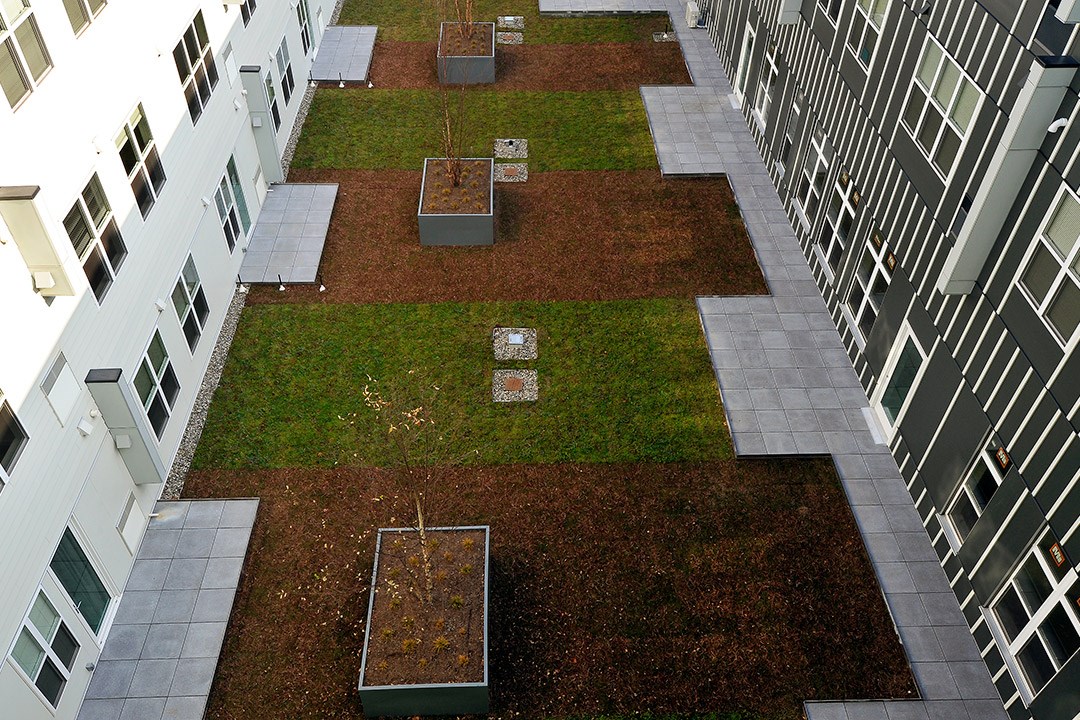Paseo Verde resident gardens by Jonathan Rose Companies