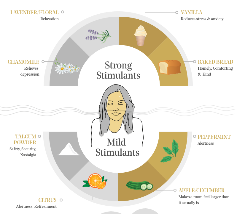 The Psychology of Restaurant Interior Design, Part 2: Scent | Fohlio | scent diagram | material library | FF&E | FFE | interior design software | digital materials library